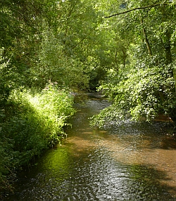 Nettetal