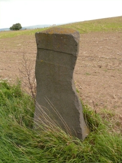 Lonnig Menhir