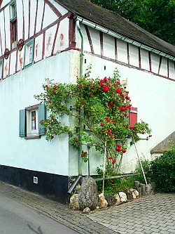 Bermel Fachwerk