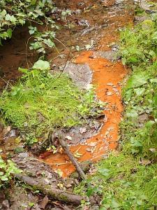 Mineralquelle Wolfsschlucht